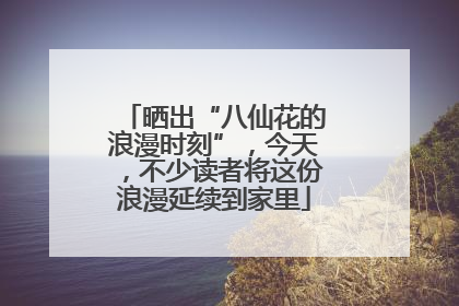 晒出“八仙花的浪漫时刻”，今天，不少读者将这份浪漫延续到家里