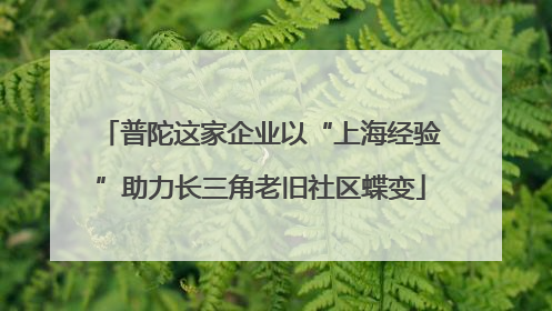 普陀这家企业以“上海经验”助力长三角老旧社区蝶变