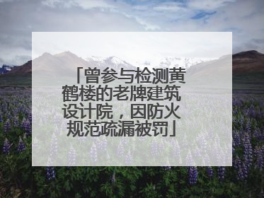 曾参与检测黄鹤楼的老牌建筑设计院，因防火规范疏漏被罚