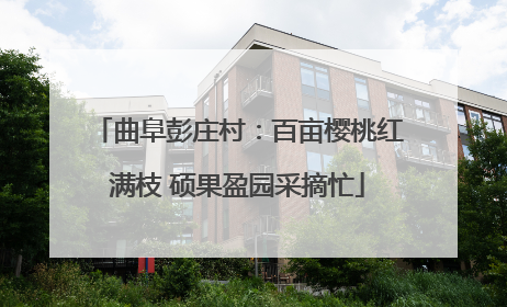 曲阜彭庄村：百亩樱桃红满枝 硕果盈园采摘忙