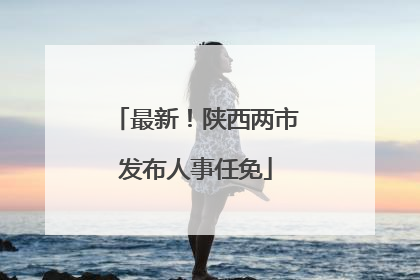 最新！陕西两市发布人事任免