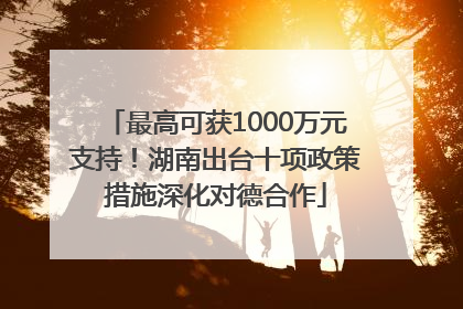 最高可获1000万元支持！湖南出台十项政策措施深化对德合作