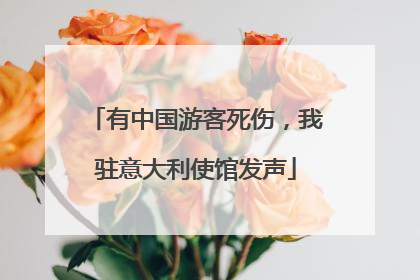 有中国游客死伤，我驻意大利使馆发声