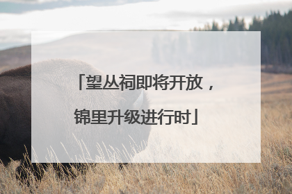 望丛祠即将开放，锦里升级进行时