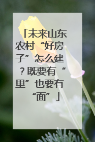 未来山东农村“好房子”怎么建？既要有“里”也要有“面”