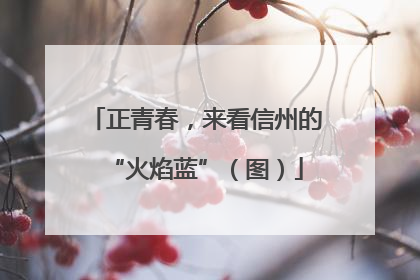 正青春，来看信州的“火焰蓝”（图）