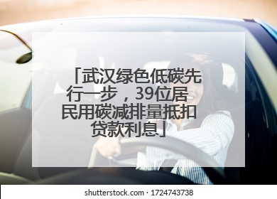 武汉绿色低碳先行一步，39位居民用碳减排量抵扣贷款利息