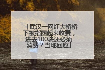 武汉一网红大桥桥下被指圈起来收费，进去100块还必须消费？当地回应