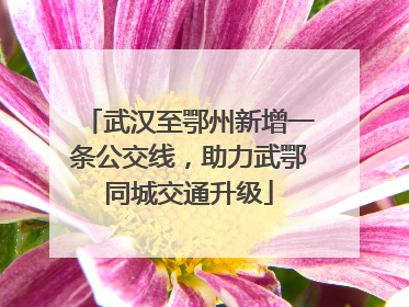 武汉至鄂州新增一条公交线，助力武鄂同城交通升级