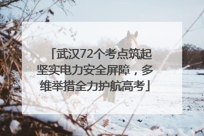 武汉72个考点筑起坚实电力安全屏障，多维举措全力护航高考