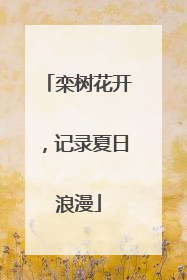 栾树花开，记录夏日浪漫