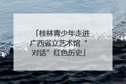 桂林青少年走进广西省立艺术馆“对话”红色历史