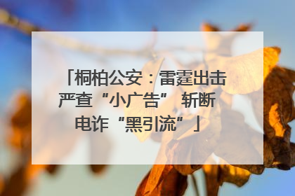 桐柏公安：雷霆出击严查“小广告” 斩断电诈“黑引流”