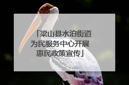 梁山县水泊街道为民服务中心开展惠民政策宣传