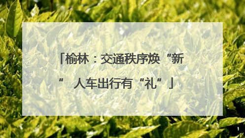榆林：交通秩序焕“新” 人车出行有“礼”