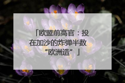 欧盟前高官：投在加沙的炸弹半数“欧洲造”