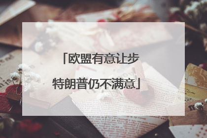 欧盟有意让步 特朗普仍不满意