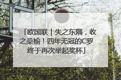 欧国联｜失之东隅，收之桑榆！四年无冠的C罗终于再次举起奖杯