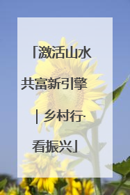 激活山水共富新引擎｜乡村行·看振兴