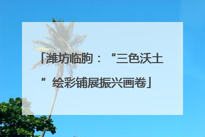 潍坊临朐：“三色沃土”绘彩铺展振兴画卷