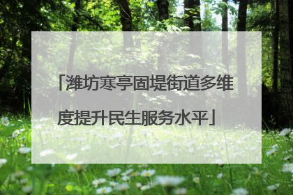 潍坊寒亭固堤街道多维度提升民生服务水平