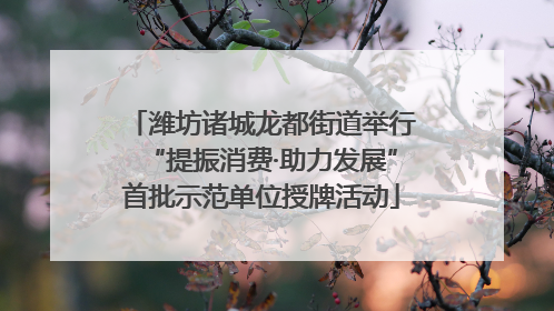 潍坊诸城龙都街道举行“提振消费·助力发展”首批示范单位授牌活动