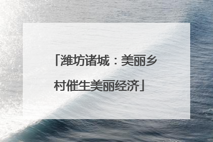 潍坊诸城：美丽乡村催生美丽经济