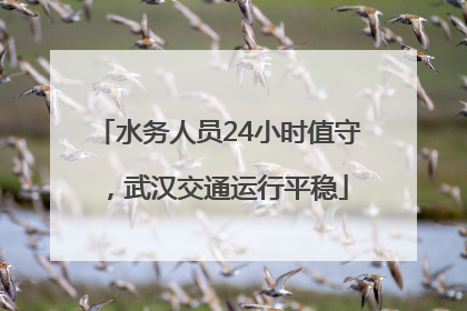 水务人员24小时值守，武汉交通运行平稳