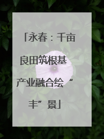 永春：千亩良田筑根基 产业融合绘“丰”景