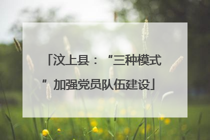 汶上县：“三种模式”加强党员队伍建设