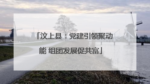汶上县：党建引领聚动能 组团发展促共富