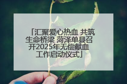 汇聚爱心热血 共筑生命桥梁 菏泽单县召开2025年无偿献血工作启动仪式