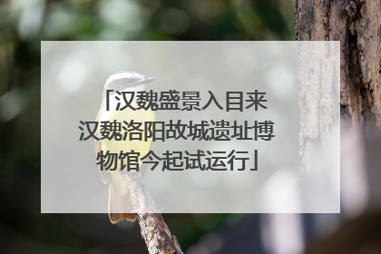 汉魏盛景入目来 汉魏洛阳故城遗址博物馆今起试运行