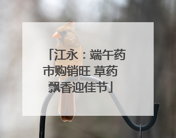 江永：端午药市购销旺 草药飘香迎佳节