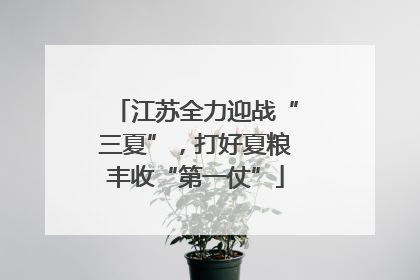 江苏全力迎战“三夏”，打好夏粮丰收“第一仗”