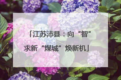 江苏沛县：向“智”求新“煤城”焕新机