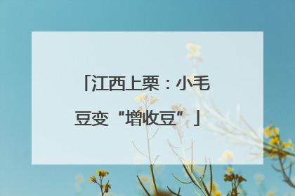 江西上栗：小毛豆变“增收豆”