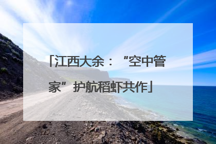 江西大余：“空中管家”护航稻虾共作