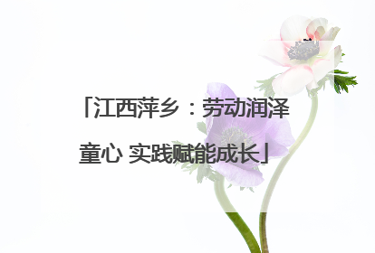 江西萍乡：劳动润泽童心 实践赋能成长