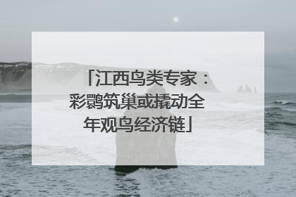 江西鸟类专家：彩鹮筑巢或撬动全年观鸟经济链