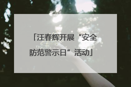 汪春辉开展“安全防范警示日”活动