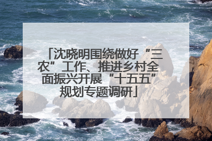 沈晓明围绕做好“三农”工作、推进乡村全面振兴开展“十五五”规划专题调研