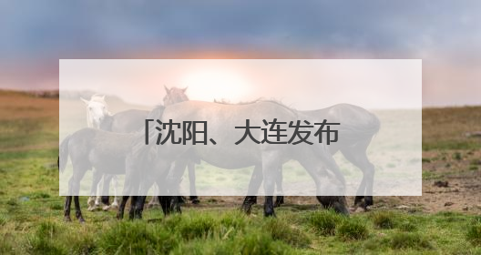 沈阳、大连发布干部任免名单