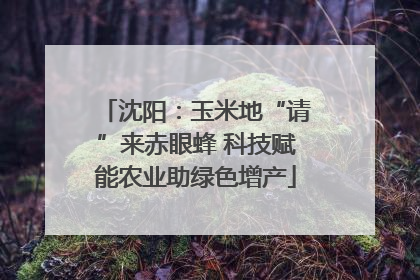 沈阳：玉米地“请”来赤眼蜂 科技赋能农业助绿色增产