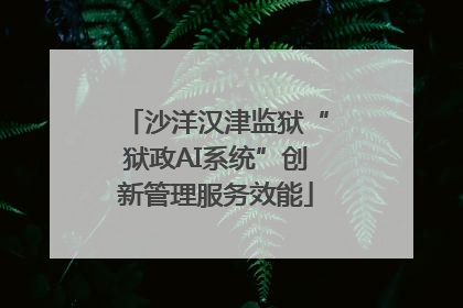 沙洋汉津监狱“狱政AI系统”创新管理服务效能
