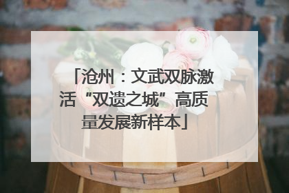 沧州：文武双脉激活“双遗之城”高质量发展新样本