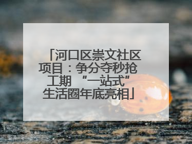 河口区崇文社区项目：争分夺秒抢工期 “一站式”生活圈年底亮相