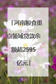 河南粮食重点领域贷款余额超2595亿元