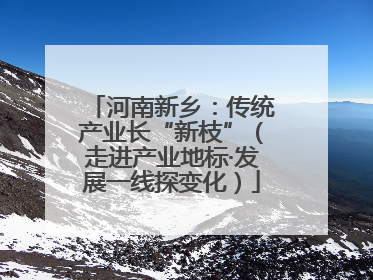 河南新乡：传统产业长“新枝”（走进产业地标·发展一线探变化）
