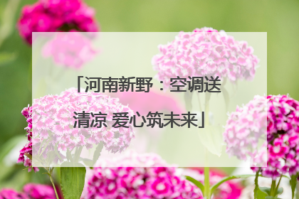 河南新野：空调送清凉 爱心筑未来
